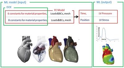 Prediction of Left Ventricular Mechanics Using Machine Learning